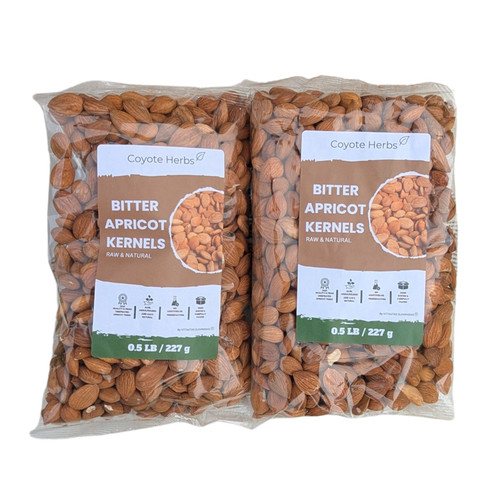 Natural apricot tree seeds - apricot,