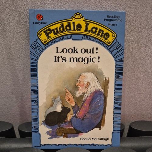 Ladybird puddle lane - ladybird, lane.