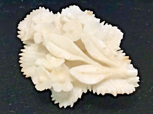 Victorian parian flower spray - victorian,