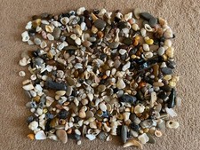 1kg Tiny Mixed Sea Shells and
