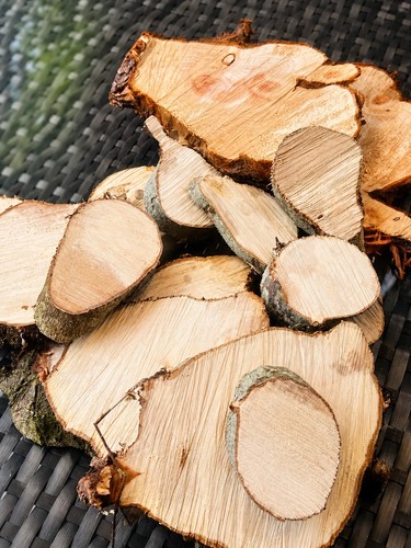10pcs wood slices - 10pcs, discs
