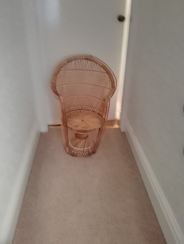 Mini peacock chair fan - chair, back