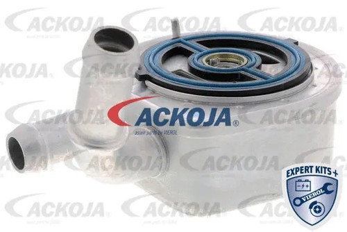 Oil cooler engine - oil,