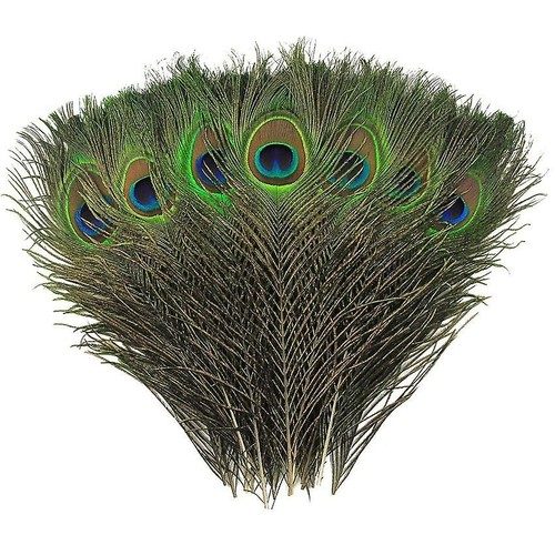 Natural peacock feathers real - peacock,