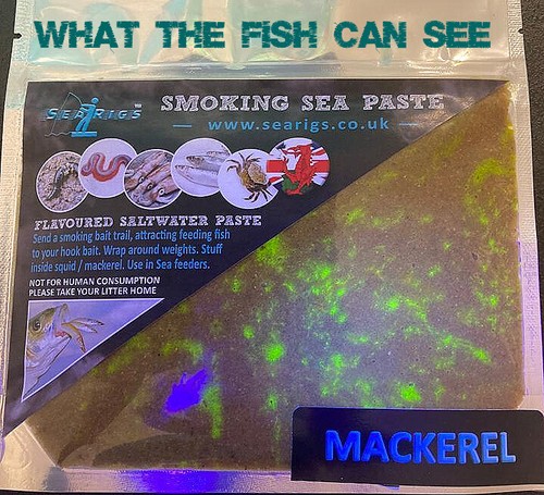 Sea fishing bait - sea,