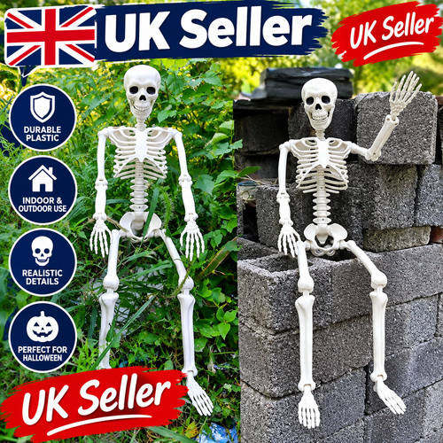 Giant life size human - giant, skeleton