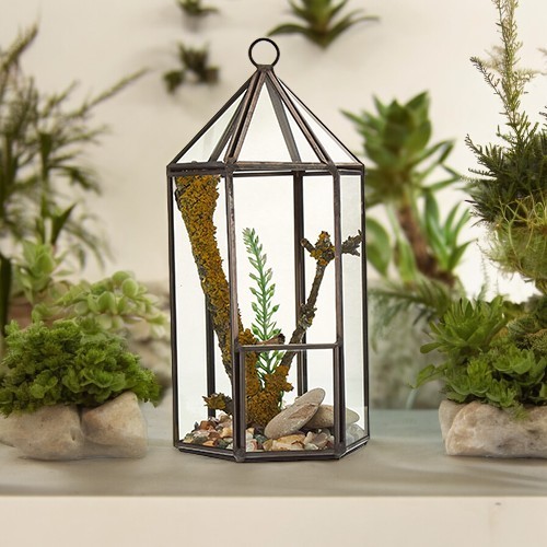 Glass terrarium lantern - glass,