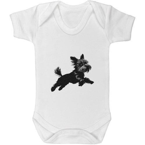 Yorkshire terrier jumping - 'yorkshire, '