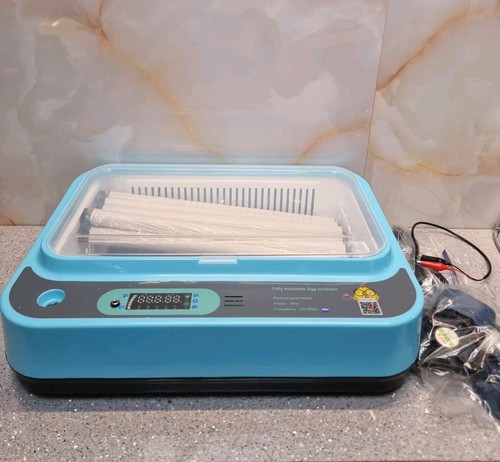 Automatic digital eggs - automatic,