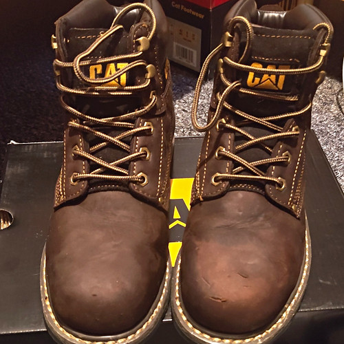 Cat caterpillar brown leather - cat,
