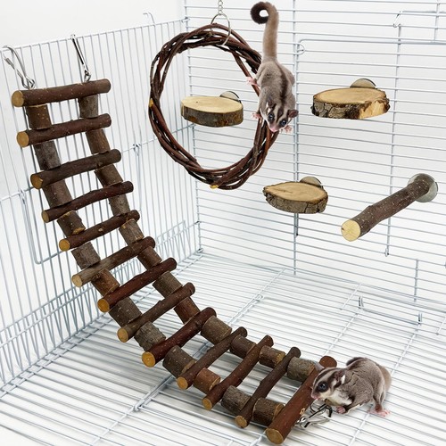 Sugar glider cage - cage, accessories