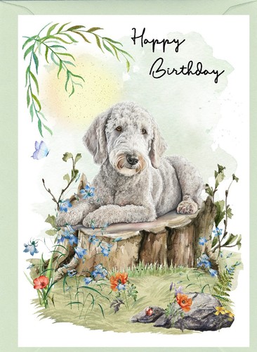Bedlington terrier dog x - terrier,