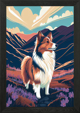 Shetland Sheepdog Nature S