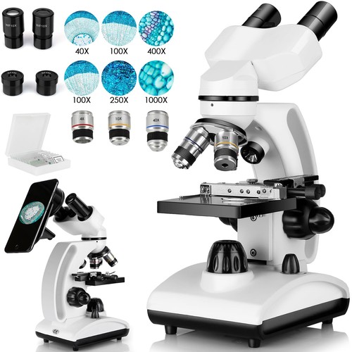 Binocular microscopes - binocular,