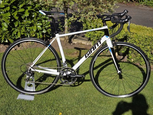 Giant defy road - giant, medium