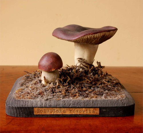 Antique mushroom model - mushroom,