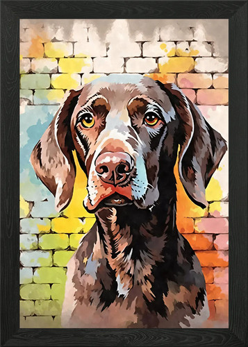 German shorthaired pointer - shorthaired,