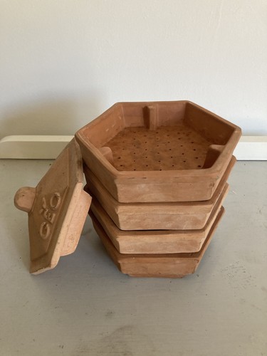 Geo terracotta sprouter - terracotta,