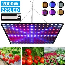 2000W LED Grow Light