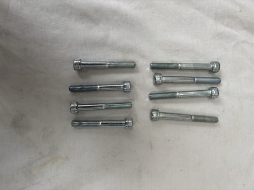 Rear caliper bolts - rear, new