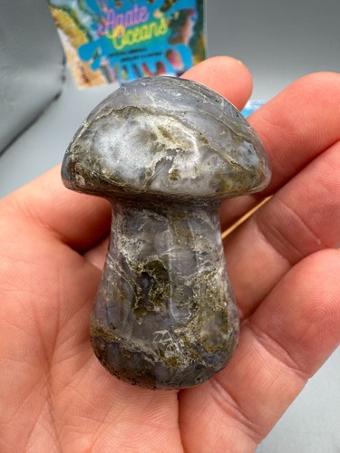 Crystal mushroom blue moss - mushroom,