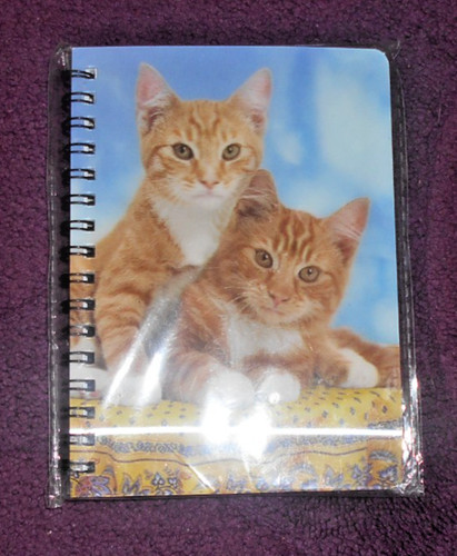 Ginger kittens notebook - ginger, a6