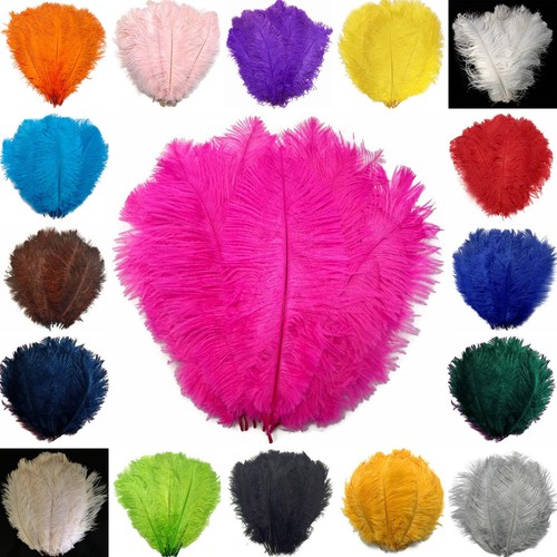 Ostrich feathers extra large - ostrich,