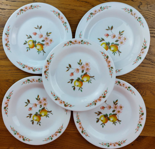 Vintage dessert plates arcopal - plates,