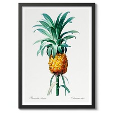 Pineapple by Pierre-Joseph