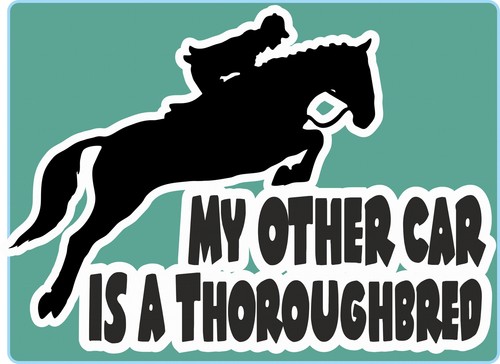 Horsebox decal other car - my,
