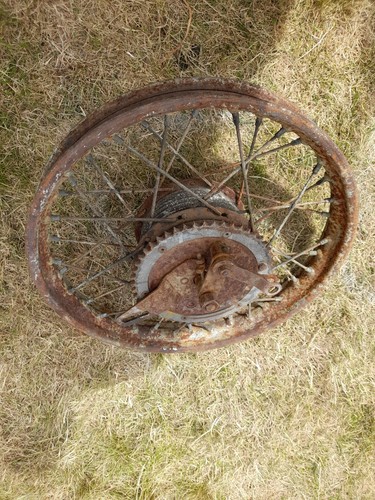 Excelsior talisman rear - talisman, wheel