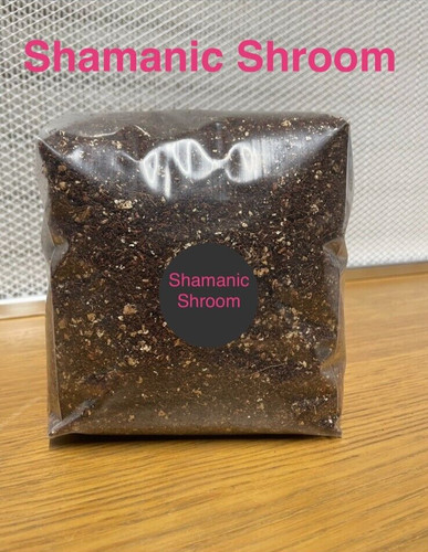 Mushroom substrate sterilised - substrate,
