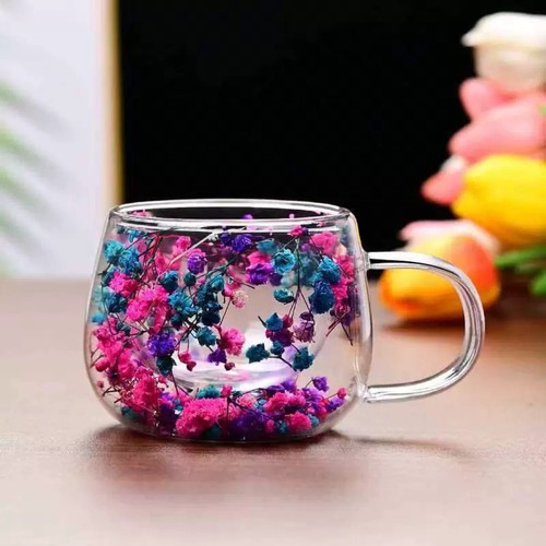 Double walled glass cup dried - double,
