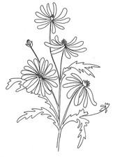 Embroidery Transfer Iron On -