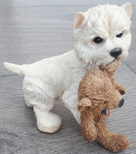 West highland terrie westie - highland,