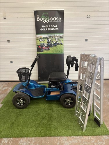 Used golf buggy lithium - golf,