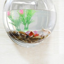 Home Decoration Wall Mount