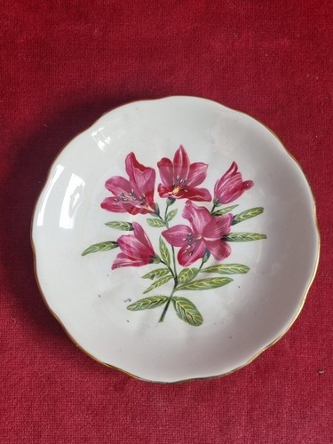 Royal vale bone china - bone, saucer