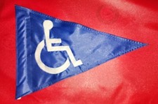 Custom Disabled Triangle Flag
