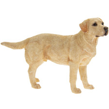 Golden Labrador Standing Dog