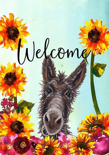 Donkey hippie hound - hound, studios