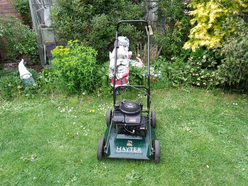 Hayter hayterette rough - 20",