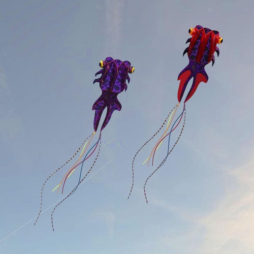 Fish large kite outdoors - large,
