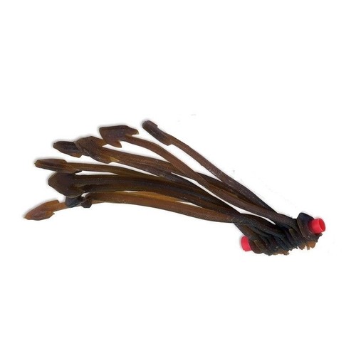 Pole winder elastic - elastic, anchors