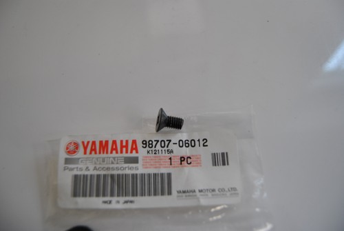 Bearing plate bearing screw