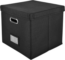 Vinyl Record Storage Box 13"