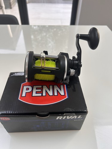 Penn rival lw20 fishing - fishing, reel