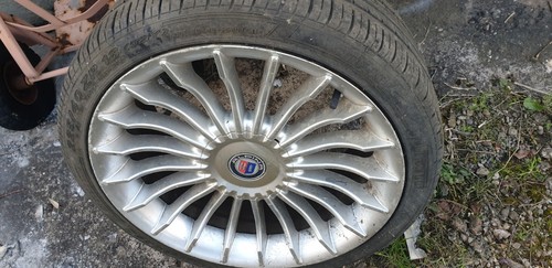 Genuine alpina classic c11 - alpina,
