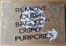 CLARISSA HULSE Standard Pillowcase PAIR New WOODLAND WALK AUTUMN