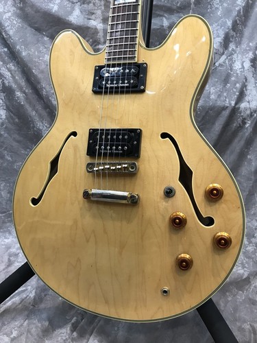 Epiphone sheraton mod - epiphone,